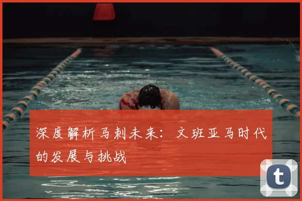 深度解析马刺未来:文班亚马时代的发展与挑战
