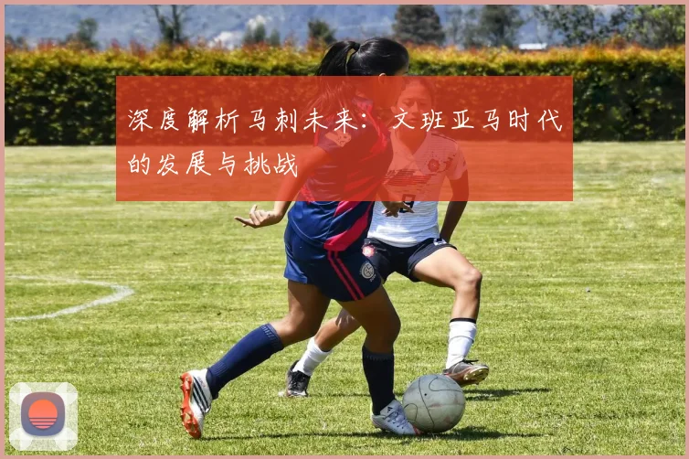 深度解析马刺未来：文班亚马时代的发展与挑战